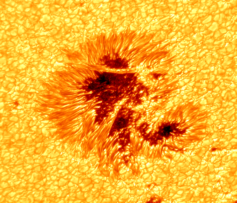 Illustration for article titled Las fotos y noticias de ciencia más fascinantes de 2013